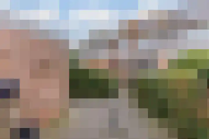 Orchisstraat 58 Wormer thumbnail 12