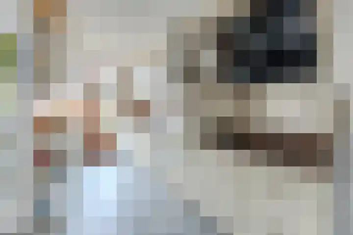 Orchisstraat 58 Wormer thumbnail 6
