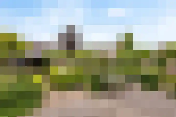 Orgellaan 10 Oldenzaal thumbnail 18