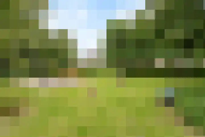 Orgellaan 10 Oldenzaal thumbnail 20