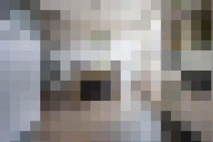 Oringerbrink 5 Emmen thumbnail 11