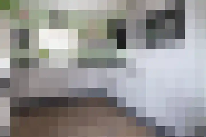 Oringerbrink 5 Emmen thumbnail 13