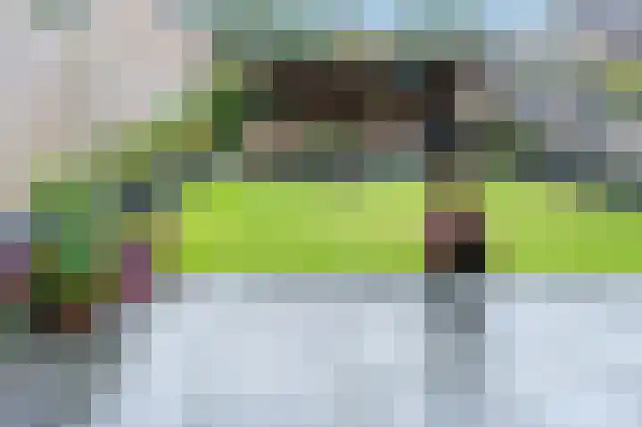 Oringerbrink 5 Emmen thumbnail 29
