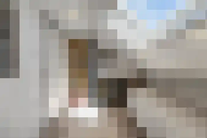 Orion 19 Den Helder thumbnail 18