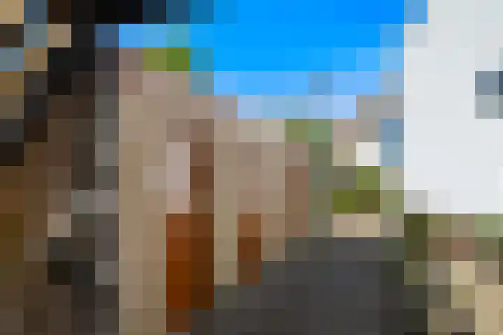 Orion 19 Den Helder thumbnail 20