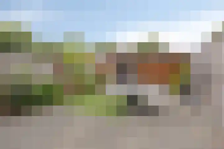 Orion 20 Oss thumbnail 19