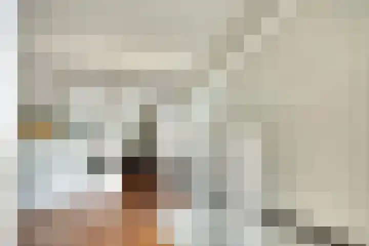 Orion 20 Oss thumbnail 30