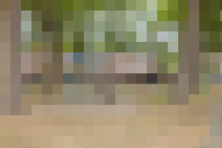 Orion 20 Oss thumbnail 35