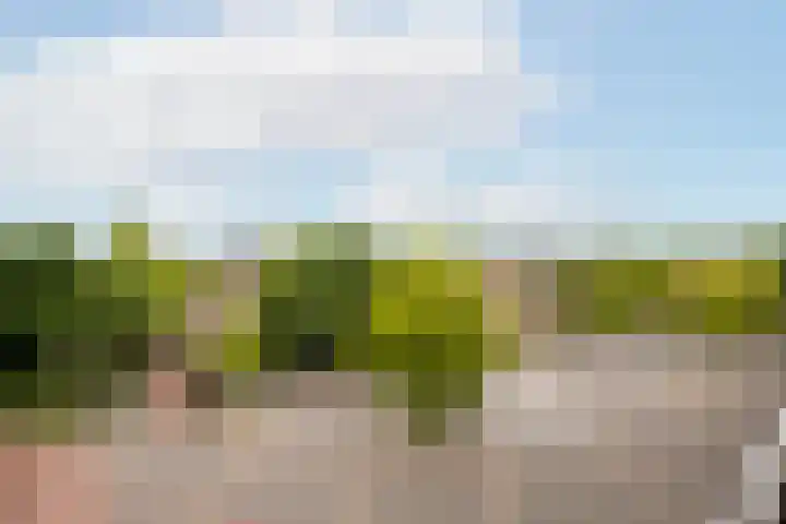 Orion 73 Amstelveen thumbnail 21
