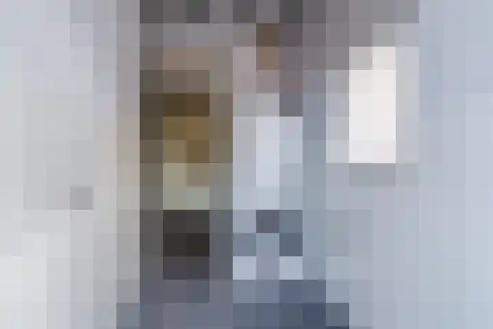 Orion 8 Hapert thumbnail 20