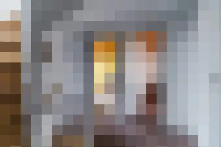 Orion 8 Hapert thumbnail 21