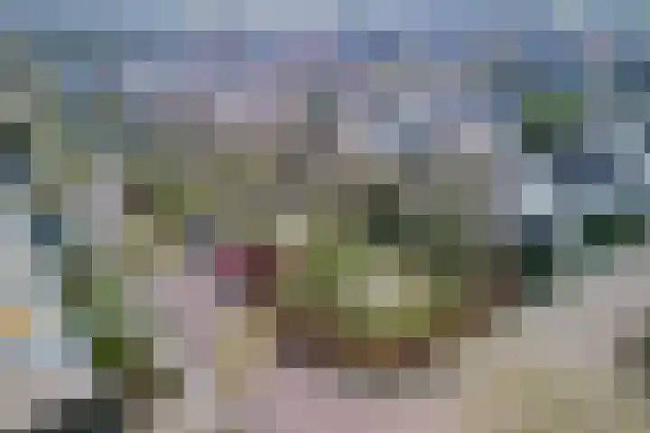 Orion 8 Hapert thumbnail 54