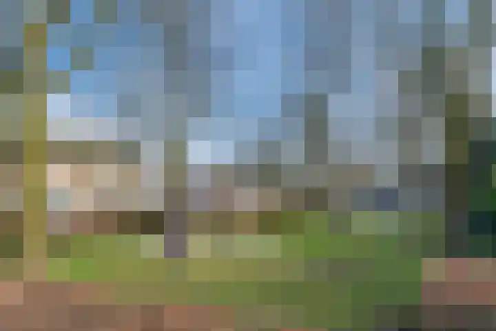 Orion 8 Hapert thumbnail 55