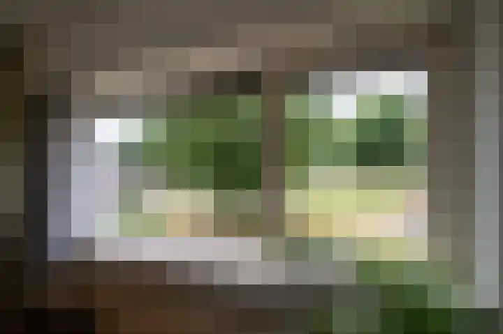Orionstraat 12 Borne thumbnail 16