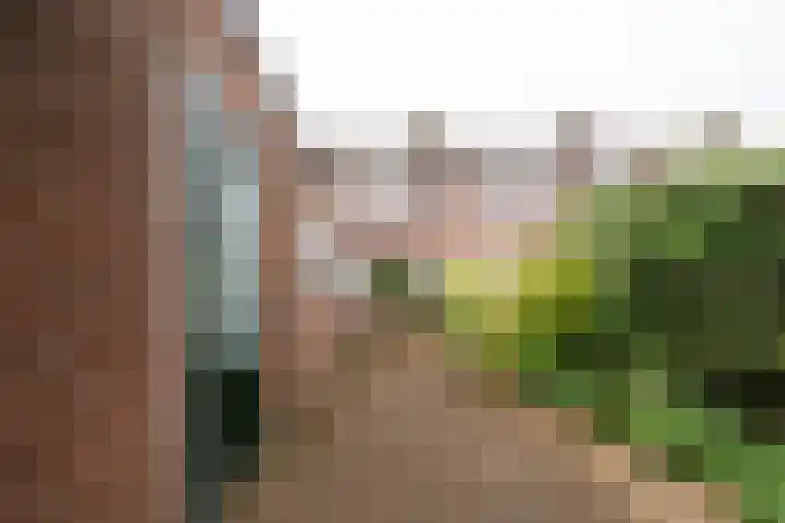 Orionstraat 12 Borne thumbnail 5