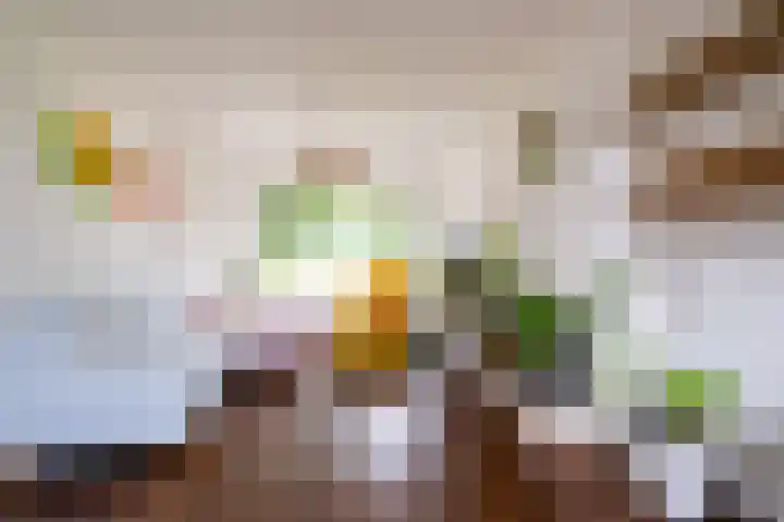 Orionstraat 12 Borne thumbnail 8