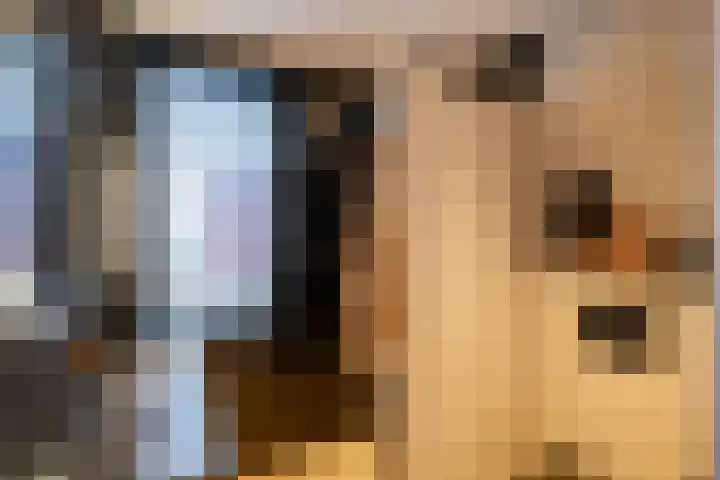 Orkest 2 Oss thumbnail 22