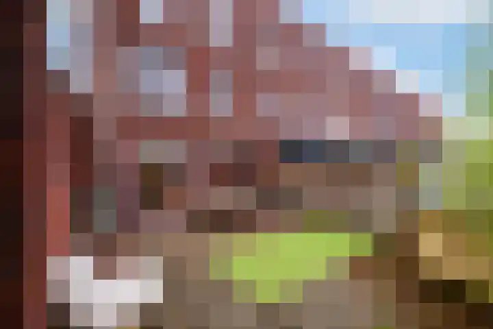 Orkest 2 Oss thumbnail 24