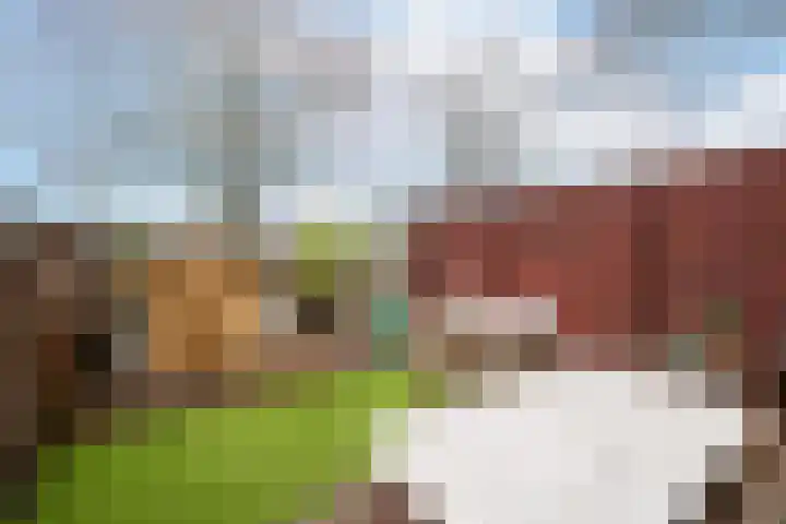 Orkest 2 Oss thumbnail 26