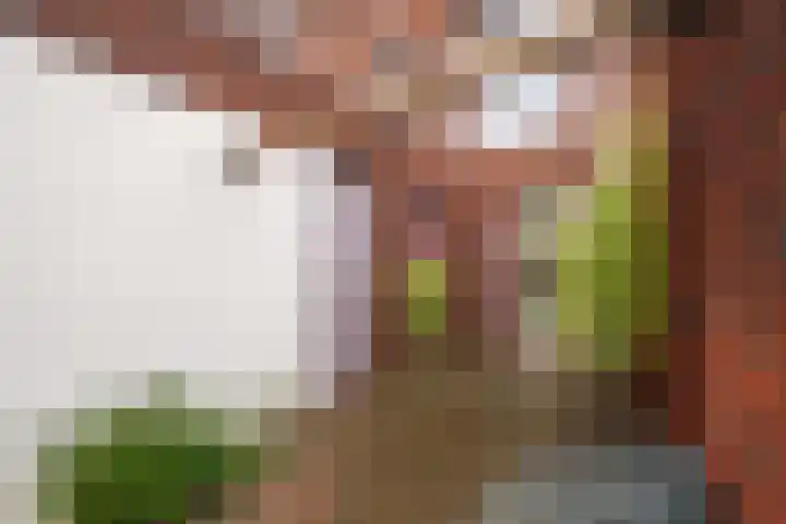 Orkest 2 Oss thumbnail 30