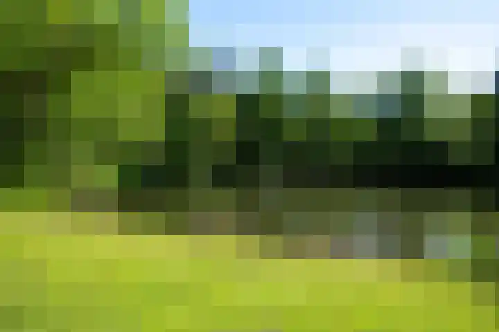 Orkest 2 Oss thumbnail 33