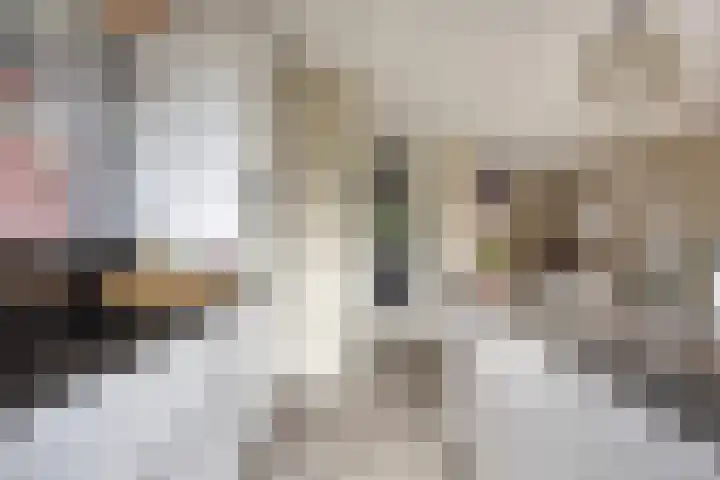 Orkest 32 Oss thumbnail 10