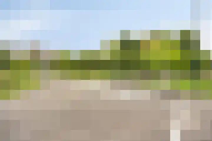 Orkest 32 Oss thumbnail 36