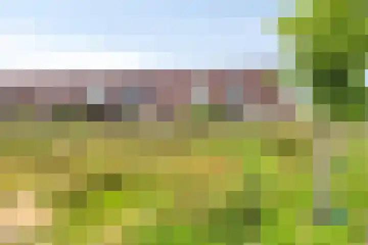 Orkest 32 Oss thumbnail 37