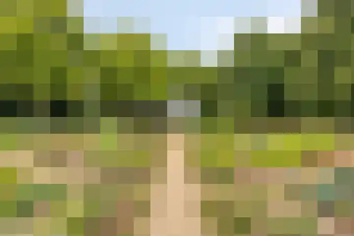 Orkest 32 Oss thumbnail 39