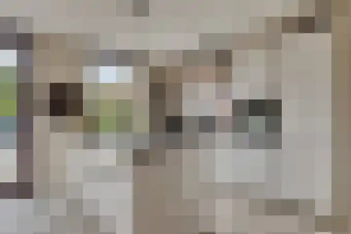 Orkest 32 Oss thumbnail 4