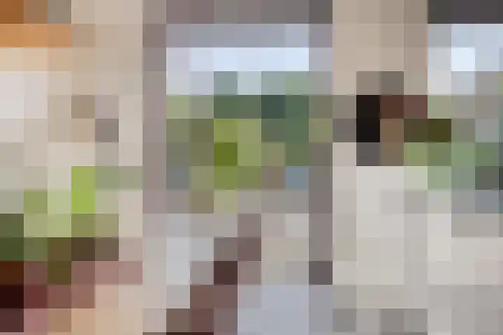 Orkest 32 Oss thumbnail 9