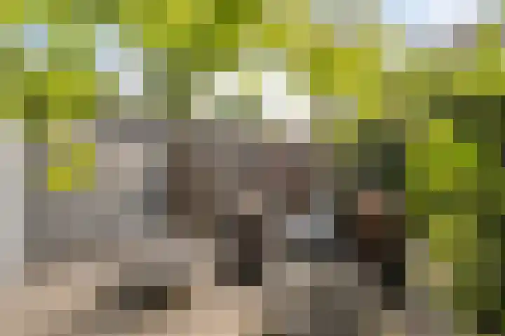 Orkestlaan 4 Kampen thumbnail 24