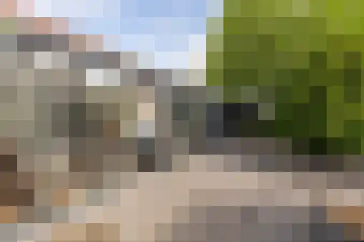 Orkestlaan 4 Kampen thumbnail 26