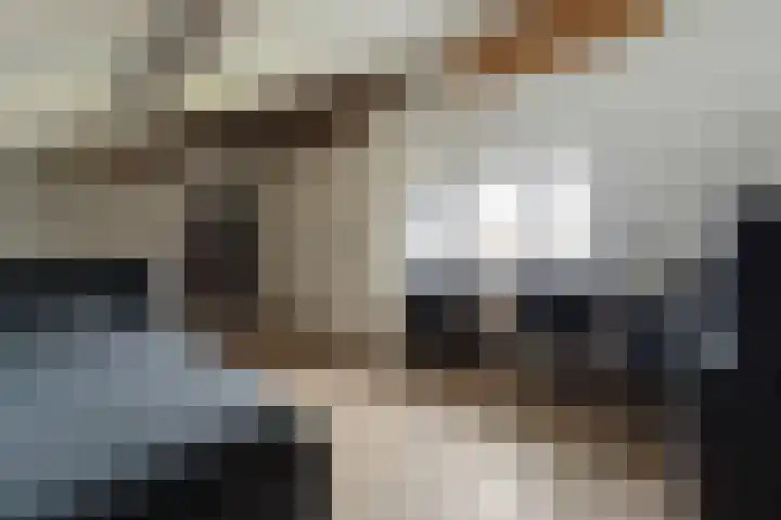 Orkestlaan 4 Kampen thumbnail 49