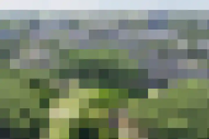 Orpheuspad 23 Amersfoort thumbnail 43