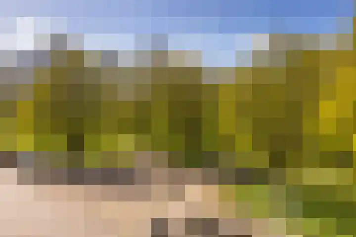Orteliuskade 30 1 Amsterdam thumbnail 15