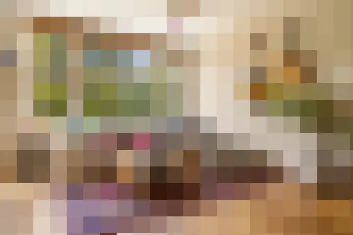 Orteliuskade 30 1 Amsterdam thumbnail 19