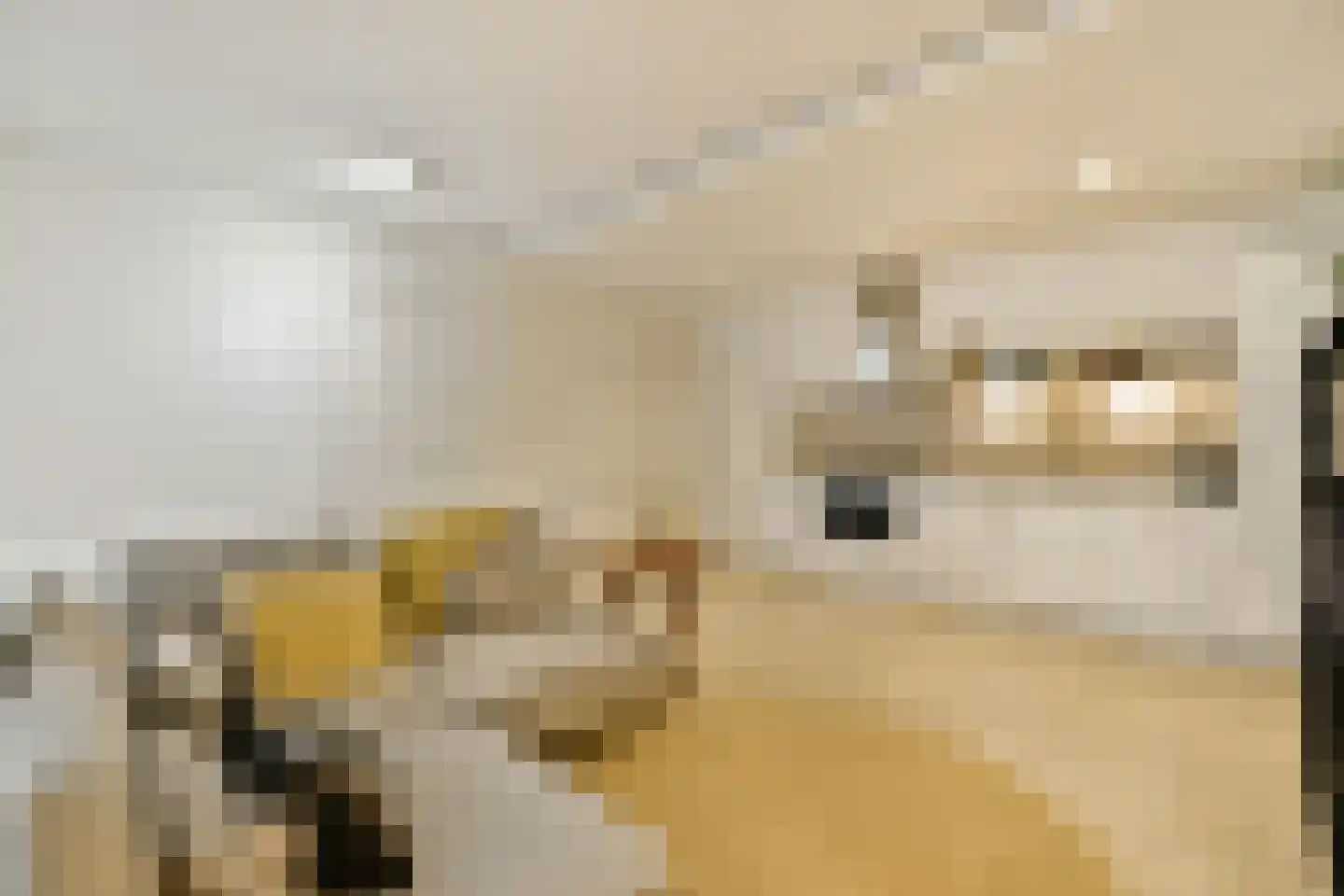 Orteliusstraat 52 1 Amsterdam thumbnail 10
