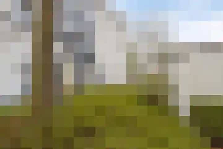 Orthen 159 's-Hertogenbosch thumbnail 19