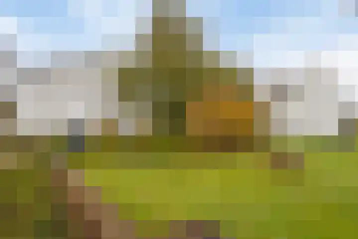Orthen 159 's-Hertogenbosch thumbnail 23