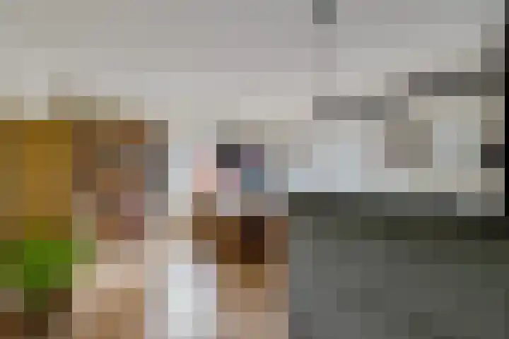 Orvelterbrink 66 Emmen thumbnail 15