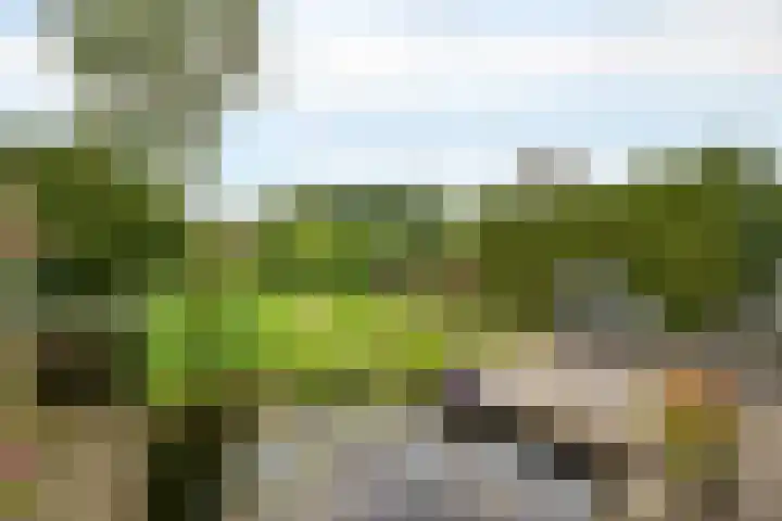 Orvelterbrink 66 Emmen thumbnail 31