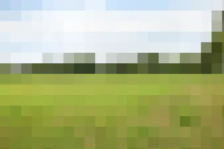 Orvelterbrink 66 Emmen thumbnail 9
