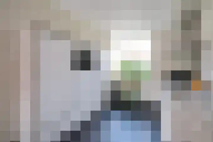 Orvelterzand 13 Ede thumbnail 7