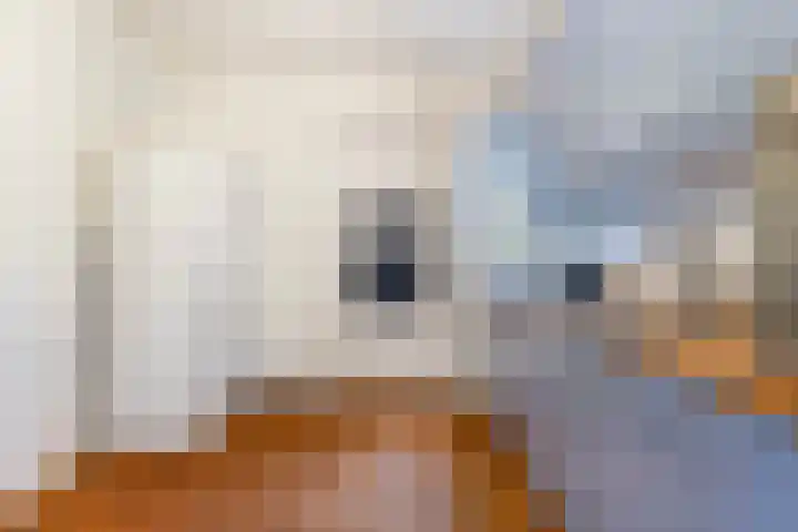 Orxmasingel 132 Menaam thumbnail 16
