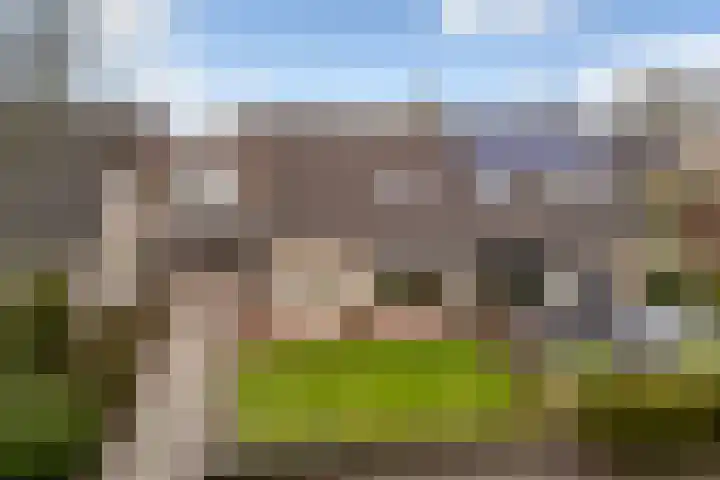 Orxmasingel 132 Menaam thumbnail 36