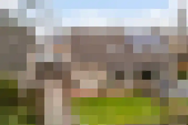 Orxmasingel 132 Menaam thumbnail 37