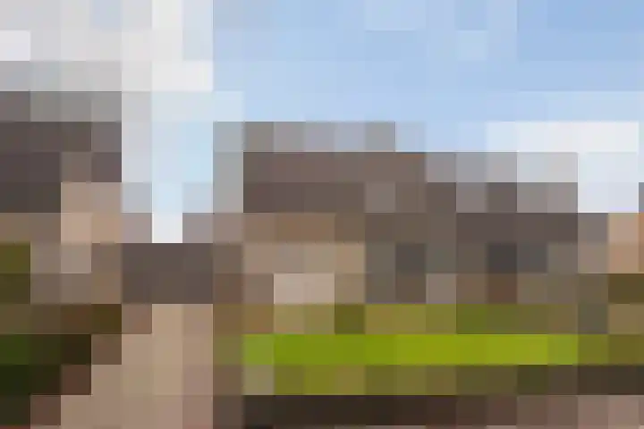 Orxmasingel 132 Menaam thumbnail 7