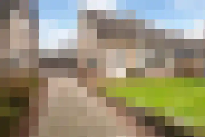 Orxmasingel 132 Menaam thumbnail 8
