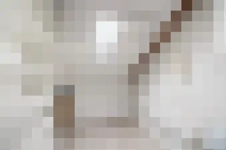 Osbornezijde 2 Zoetermeer thumbnail 25
